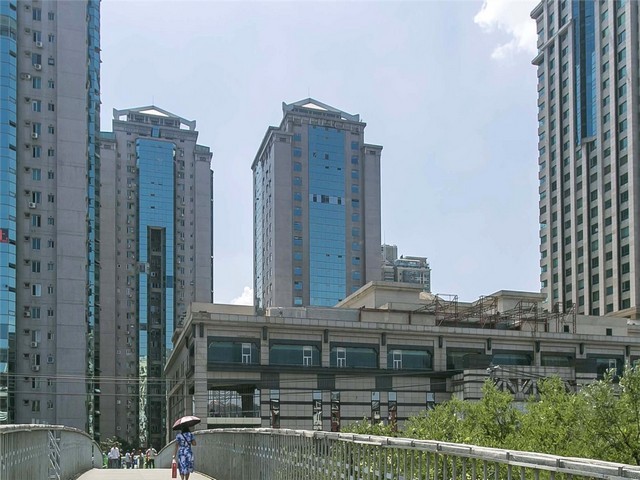 内蒙古合成骨粉多少钱